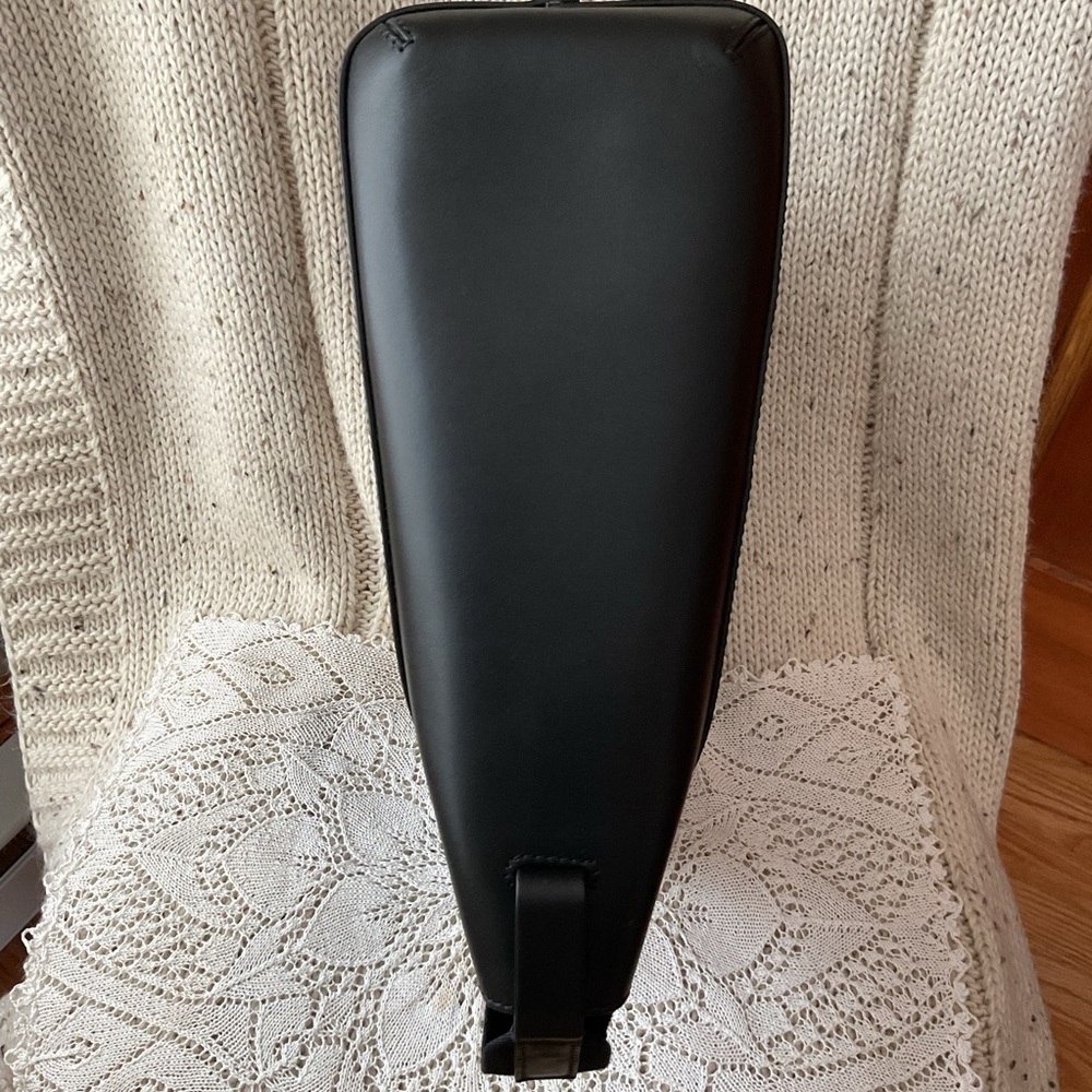 Everlane Form Bag ⭐️ NWT ⭐️ black ⭐️ crossbody ⭐️ dust bag ⭐️ - Picture 10 of 15
